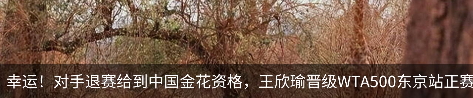 行业资讯